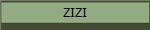 ZIZI