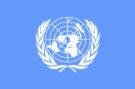 world flag